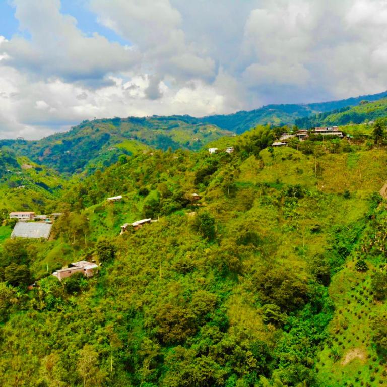 Mountain View Finca Campestre - Villa - 14