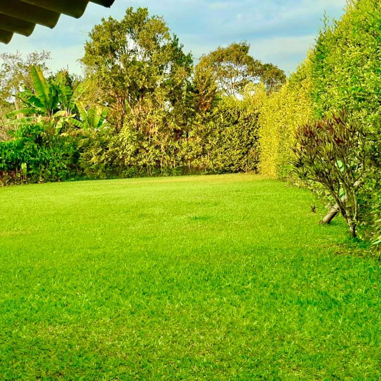 Mountain View Finca Campestre - Villa - 18