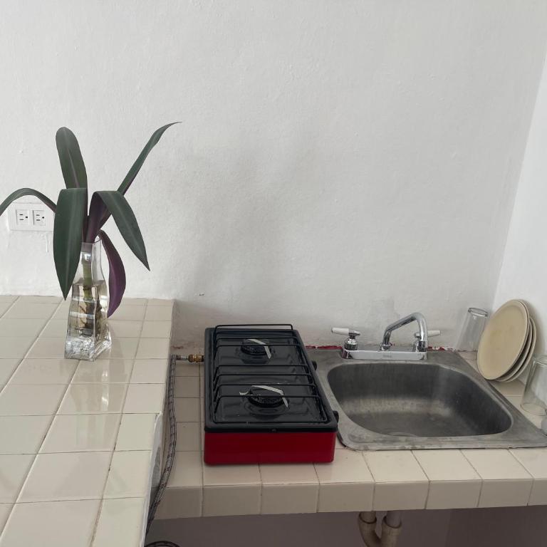 Apartamentos Cupules - Apartamento de 1 dormitorio - 1