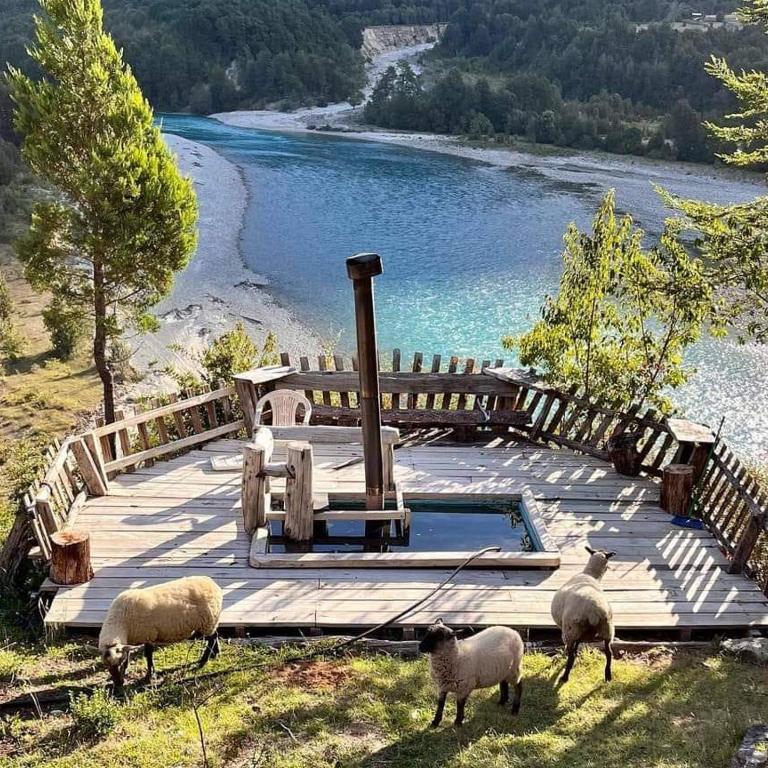Cabañas Los Ranchos del Puelo - Habitación Doble con vistas al parque - 31