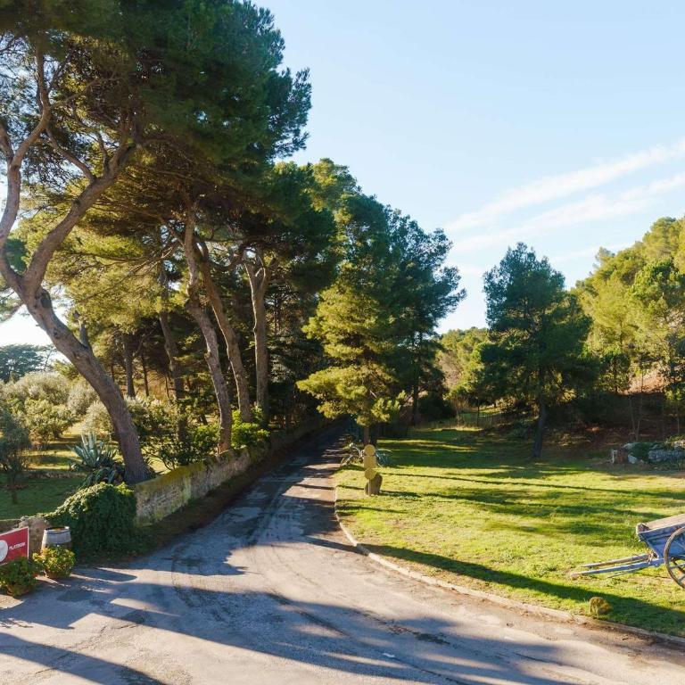 Maisonnette de charme au cœur d'un domaine viticole, près de la plage - Narbonne-Plage - FR-1-409-178 - Villa - 16