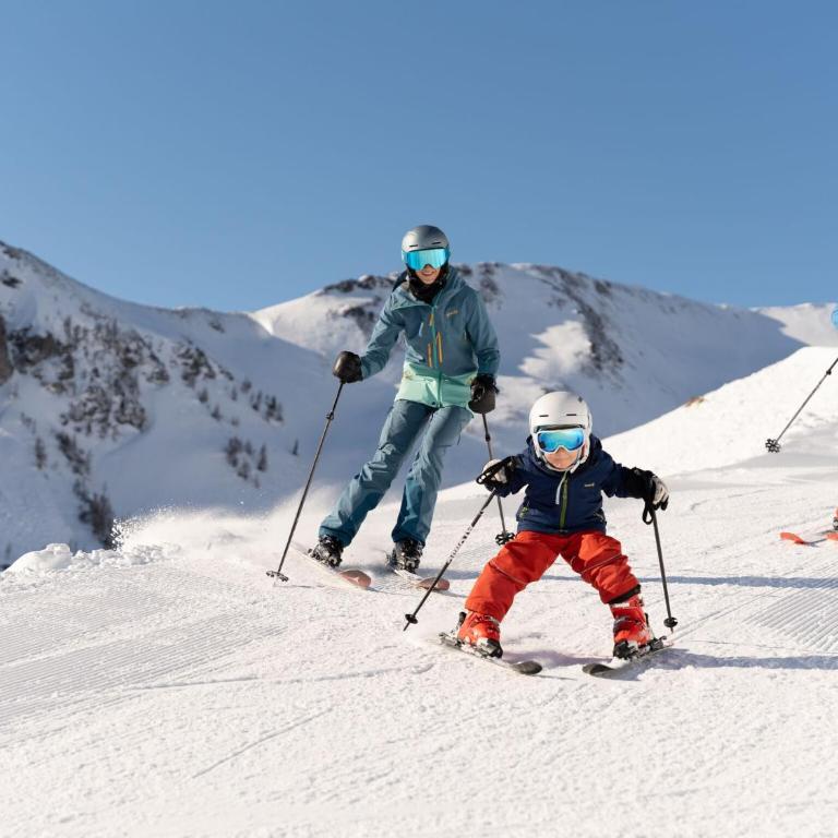 Holiday on an organic farm near ski slopes - Appartement 2 Chambres - 32