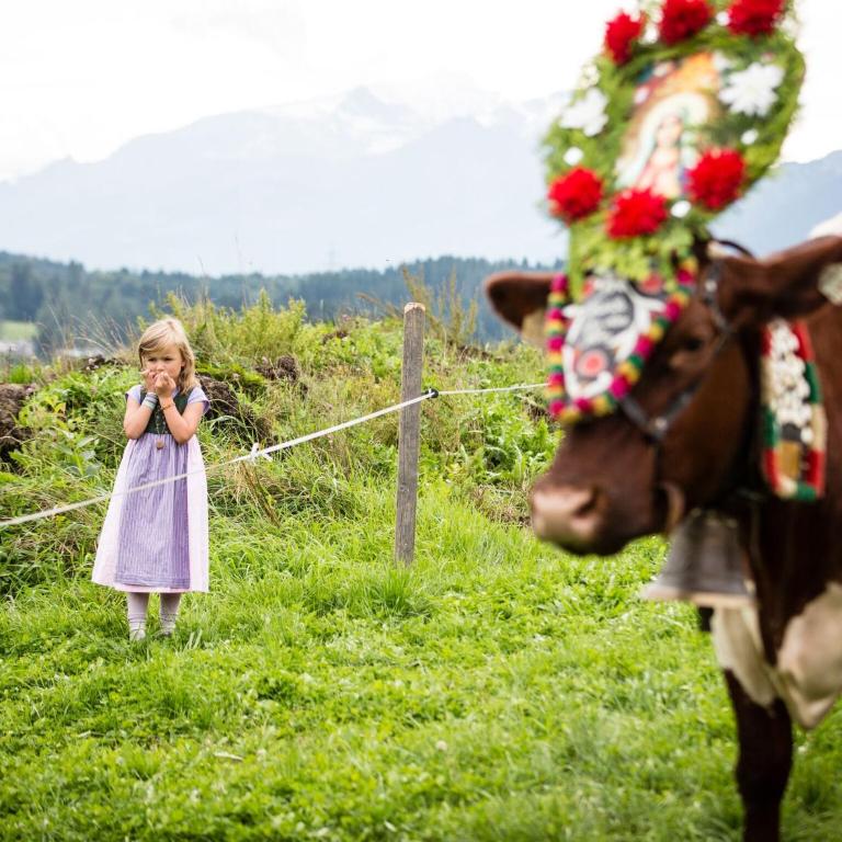 Holiday on an organic farm near ski slopes - Appartement 2 Chambres - 21