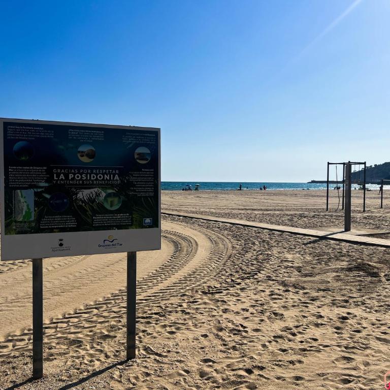 El Paraíso en Playa Concha - Apartamento de 2 dormitorios - 55