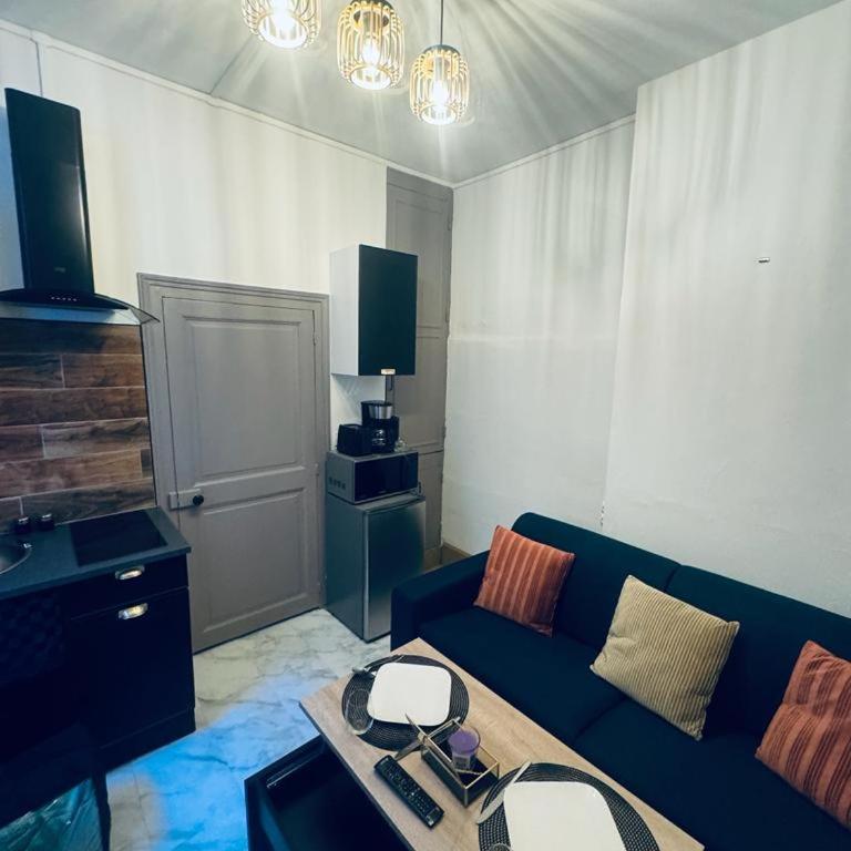 Le green touch, studio centre ville historique - Studio - 7