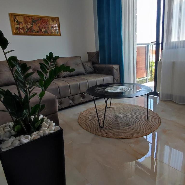 Lux Apartman Crnjanski IV, Jagodina - Apartman sa 1 Spavaćom Sobom - 5
