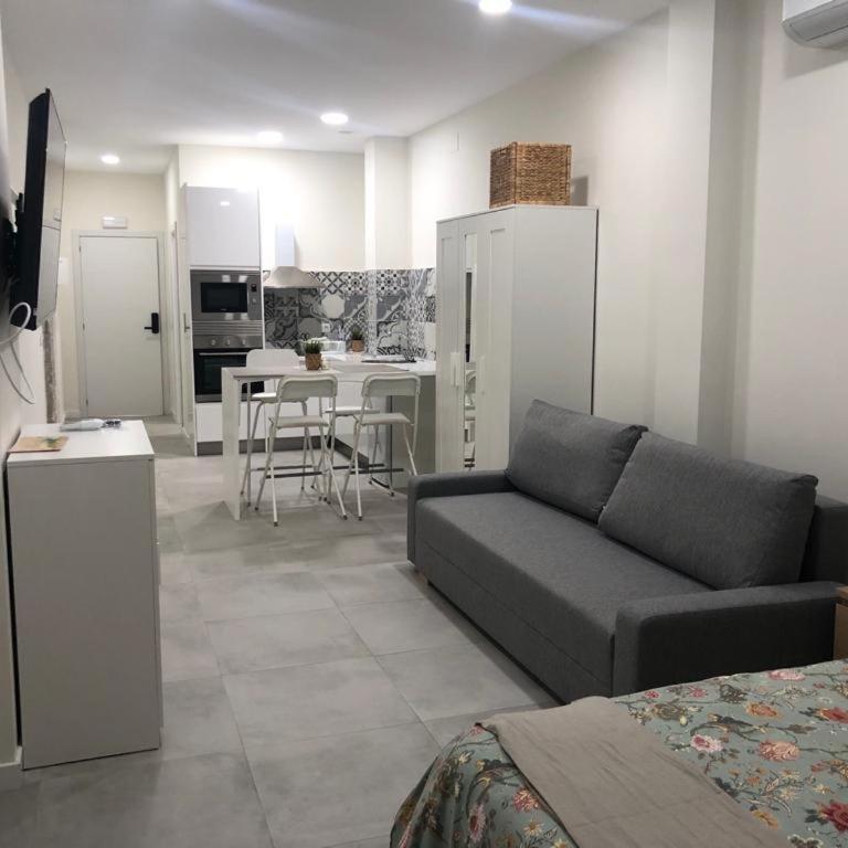 Centro Estudio Trinidad Málaga 3 - Apartamento de 1 dormitorio - 10