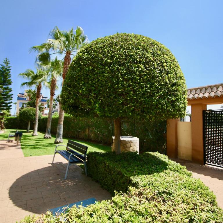 Residencial Playa Sol III by CARLOSFERIEN - Apartamento de 2 dormitorios - 29
