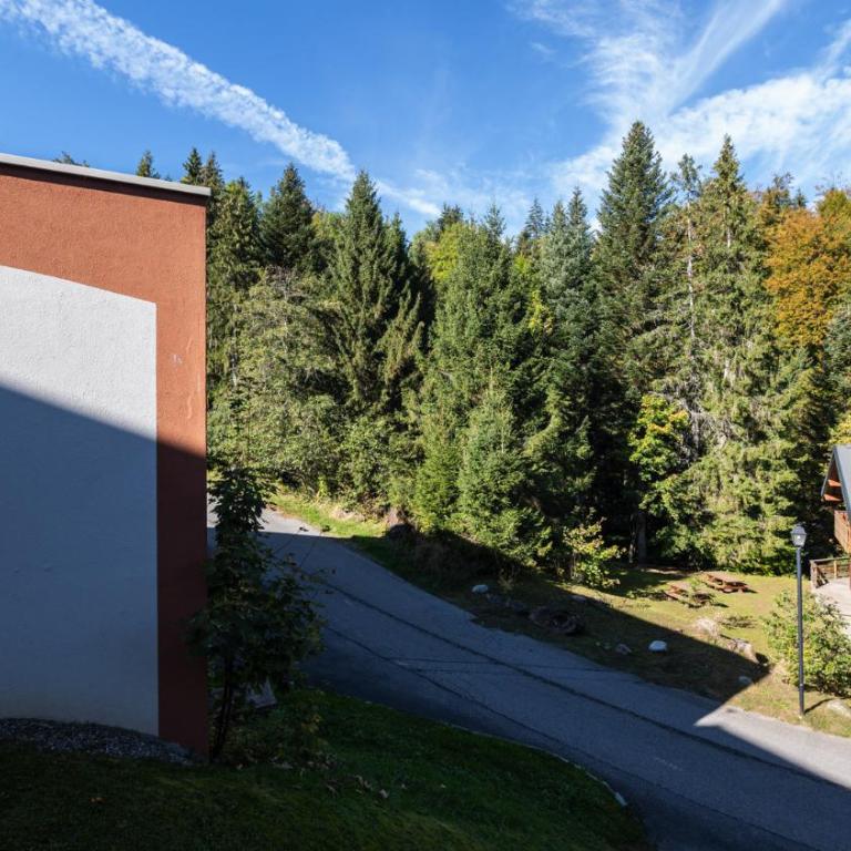 Grande Neige 23 - Appt pied des pistes 4 pers - Appartamento - 11