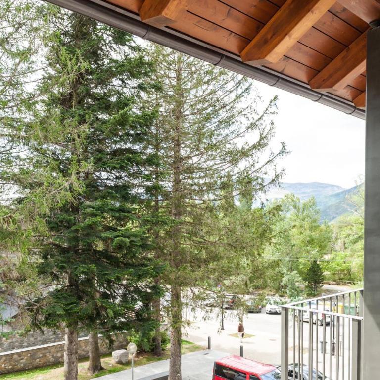 BPIRINEOS-Pyrene - Apartamento de 2 dormitorios - 7