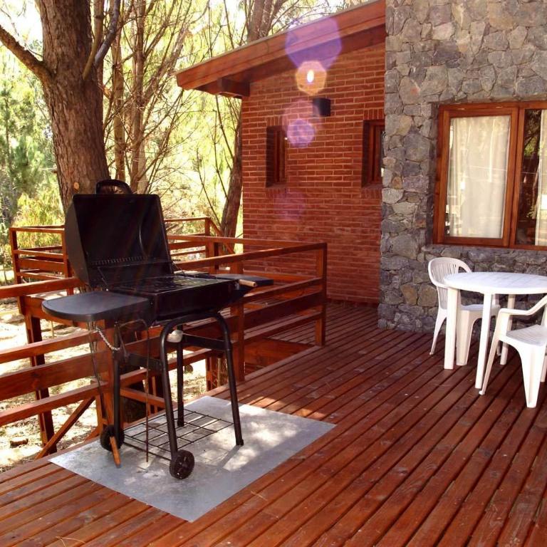 Escondida en el Bosque - Apartamento - 5
