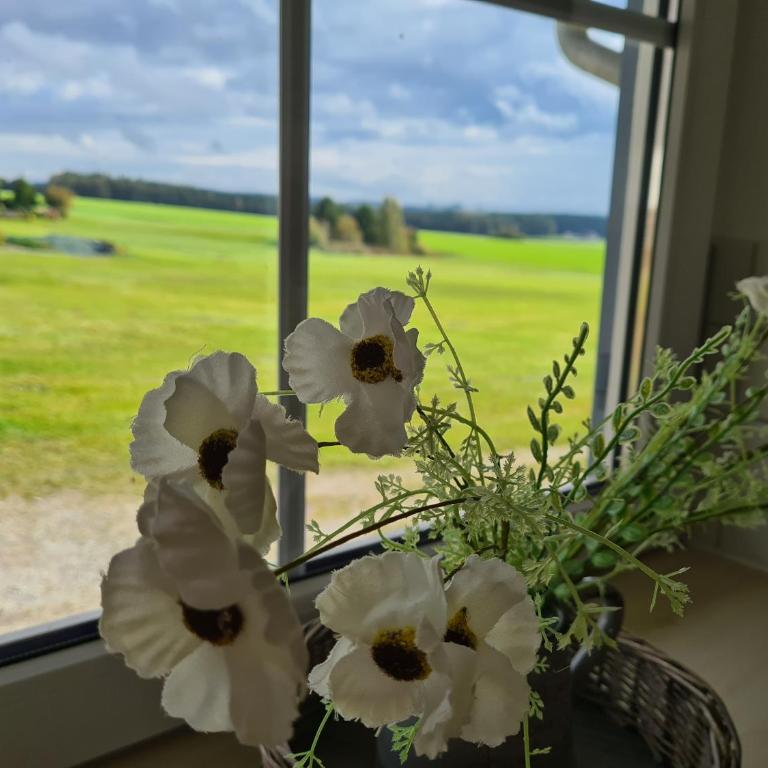 Ferienhaus Alpenblick - Haus mit 2 Schlafzimmern - 15