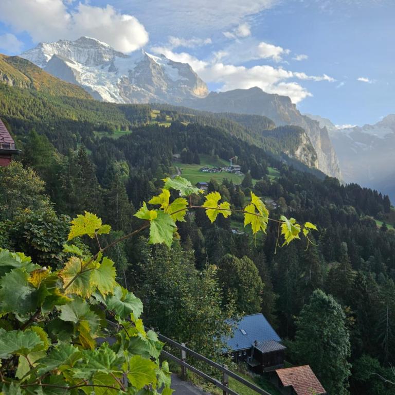 Chalet Aargovia South - Chalet - 21