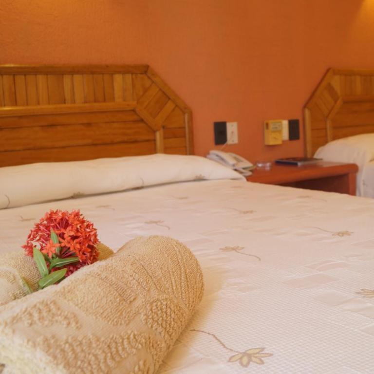 Surf Olas Altas - Habitación Estándar - 3