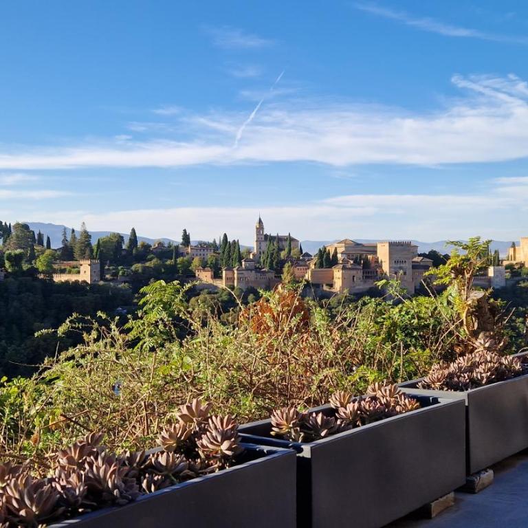 Luxury Cave 100m super terraza vistas Alhambra WIFI - Four-Bedroom House - 38