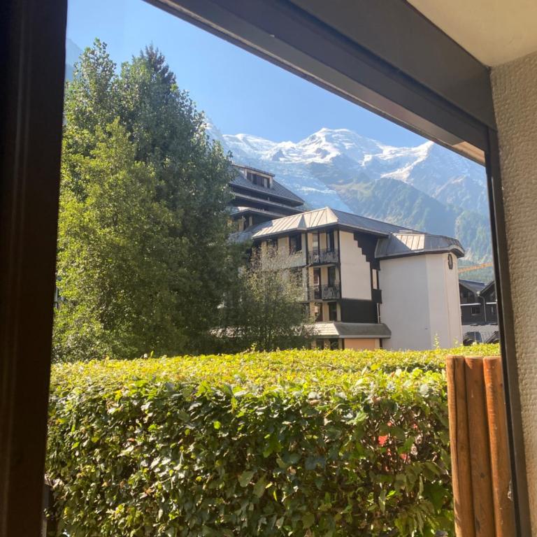 Mont Blanc View Chamonix Apartment - Appartement 1 Chambre - 11