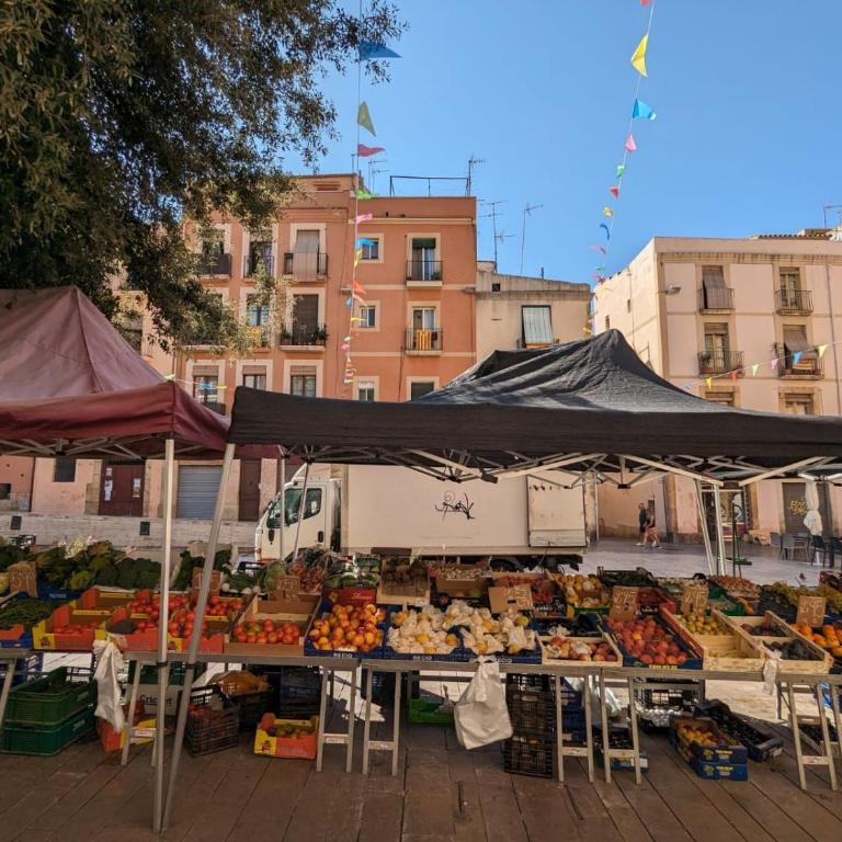 Homing Tarragona Forum 11 - Apartamento de 1 dormitorio - 25