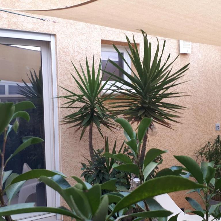 La Casa Tranquilia chez Véro et JJ Studio à Marseillan - Appartement 1 Chambre - 37