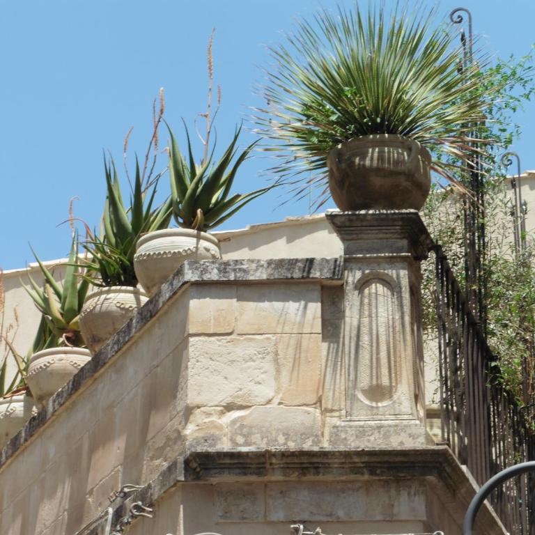 Palazzo Degli Olivi - Appartamento con Terrazza - 1