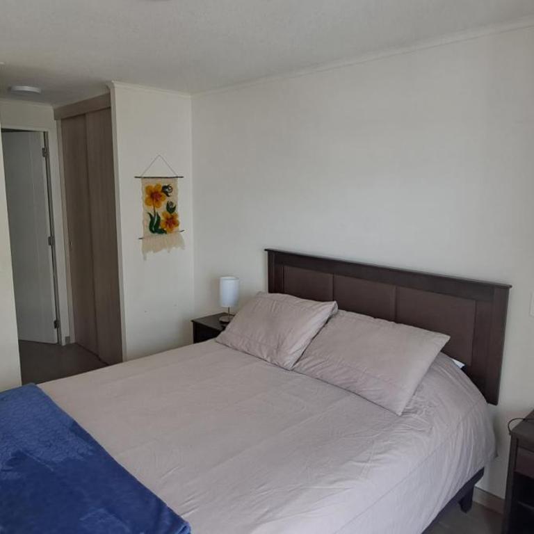 Claro Centro Temuco - Apartamento de 1 dormitorio - 24