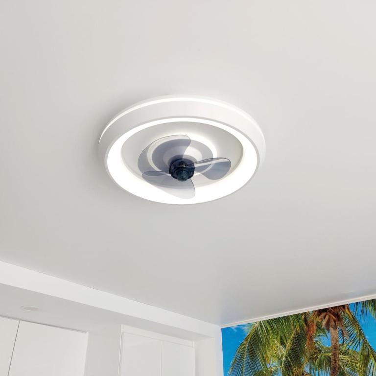 Under the palm - Apartamento Estudio - 18