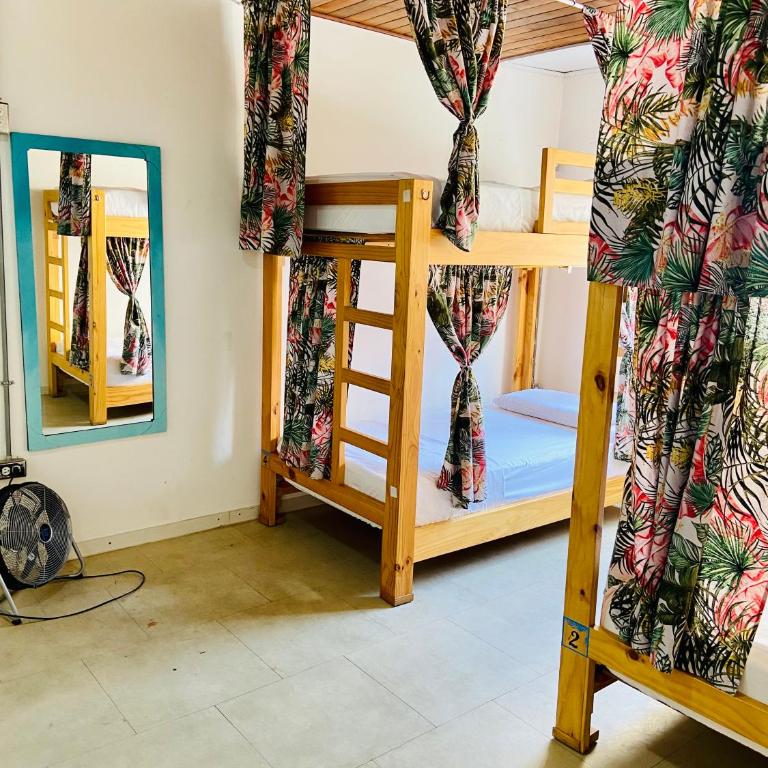 Oasis Cali Hostel - Cama en habitación femenina compartida de 4 camas - 3