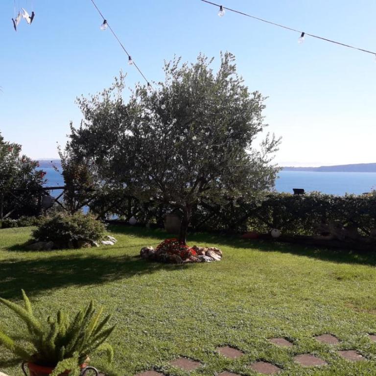 La Cerasa - vista Lago di Bracciano e giardino privato - Casa Vacanze - 6