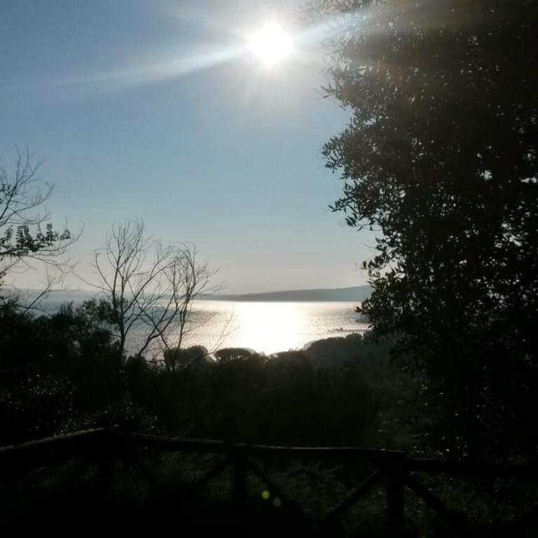 La Cerasa - vista Lago di Bracciano e giardino privato - Casa Vacanze - 68
