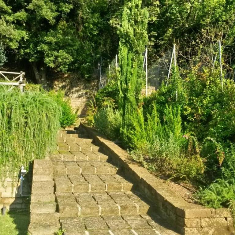 La Cerasa - vista Lago di Bracciano e giardino privato - Casa Vacanze - 64