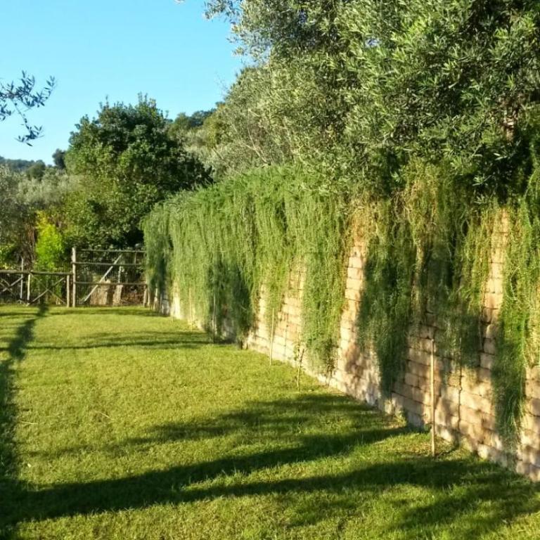 La Cerasa - vista Lago di Bracciano e giardino privato - Casa Vacanze - 61