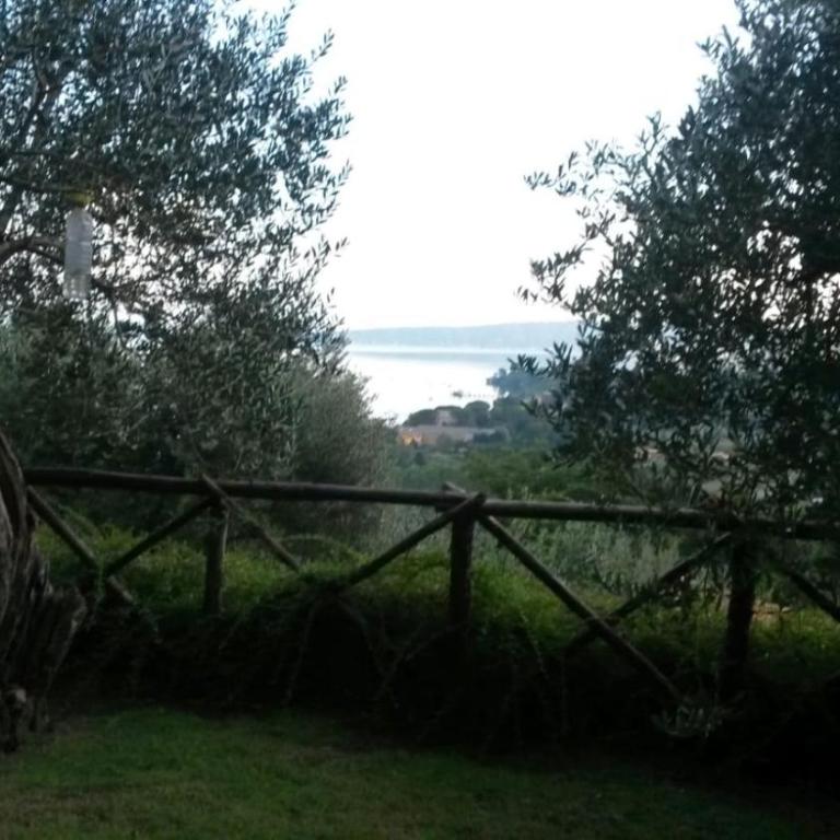La Cerasa - vista Lago di Bracciano e giardino privato - Casa Vacanze - 69