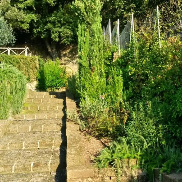 La Cerasa - vista Lago di Bracciano e giardino privato - Casa Vacanze - 60