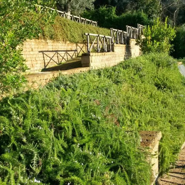 La Cerasa - vista Lago di Bracciano e giardino privato - Casa Vacanze - 59
