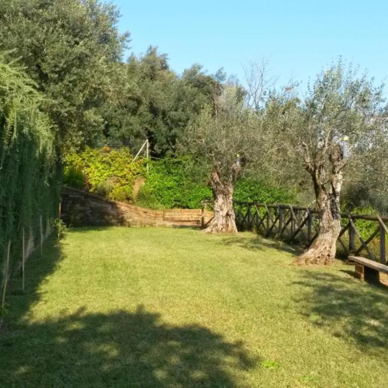 La Cerasa - vista Lago di Bracciano e giardino privato - Casa Vacanze - 63
