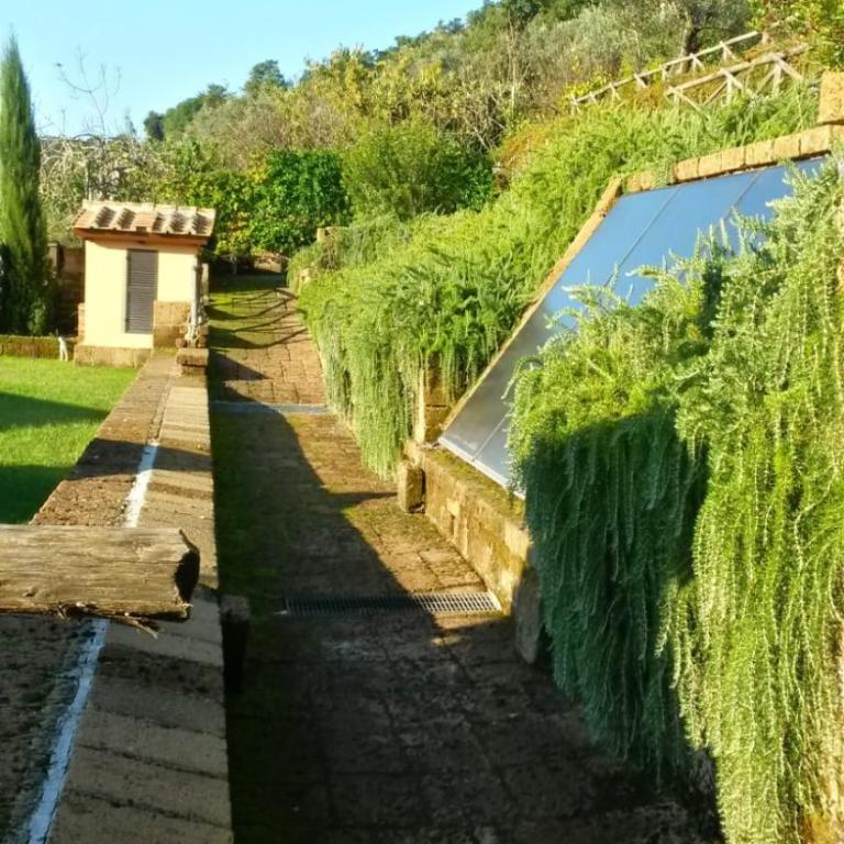 La Cerasa - vista Lago di Bracciano e giardino privato - Casa Vacanze - 15