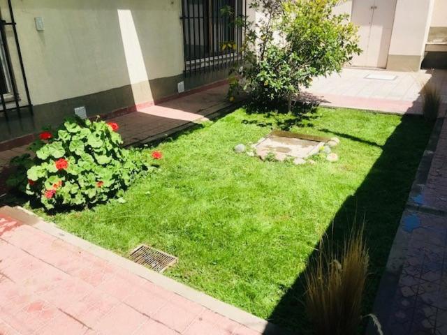 Trapiche Centro DelCe - Casa de 2 dormitorios - 10