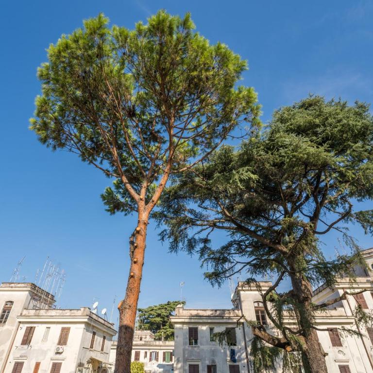 Fischer's Apartment in Testaccio - Appartamento con 1 Camera da Letto - 21