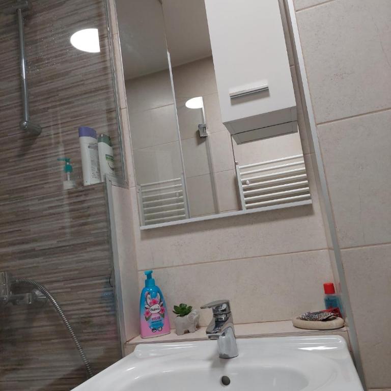 Novi - Apartman sa 1 Spavaćom Sobom - 22