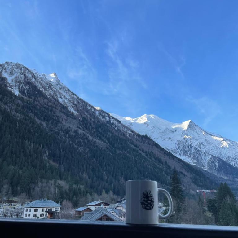Mont-Blanc View - Panoramic Balcony - Chamonix Centre - Apartamento Deluxe de 2 dormitorios con balcón - 35