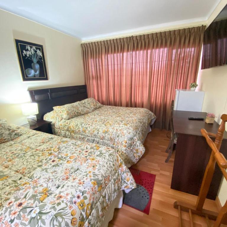 NEW HOTEL CRUZ DEL SUR - Habitación Familiar con vistas al jardín - 5