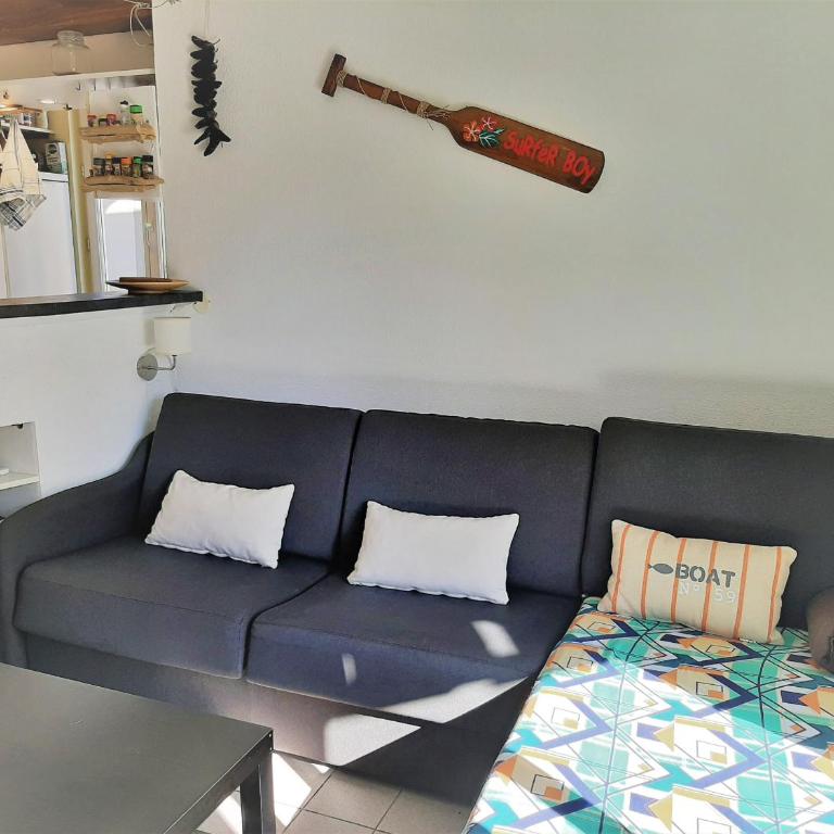Appartement cosy, 4 pers, proche plages et centre, BBQ, parking, Wifi inclus - FR-1-239-943 - Appartement 1 Chambre - 2