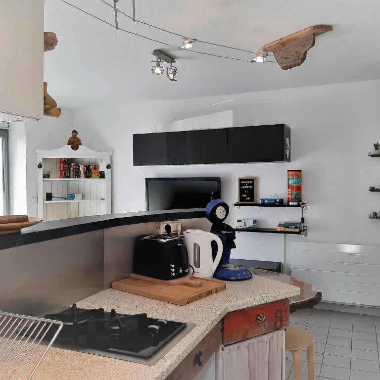 Appartement cosy, 4 pers, proche plages et centre, BBQ, parking, Wifi inclus - FR-1-239-943 - Appartement 1 Chambre - 3