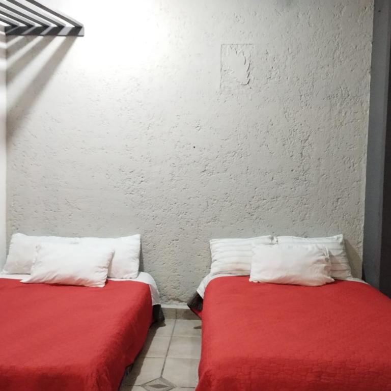 Gran México - Apartamento - Planta baja - 5