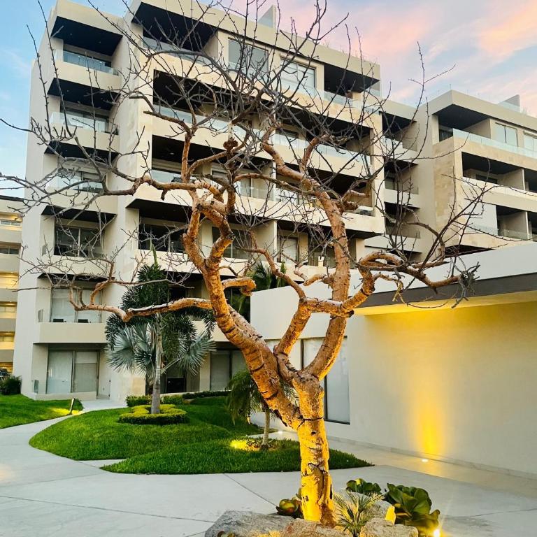 Loft con balcón privado, estacionamiento gratis - Un oasis en Los Cabos - Apartamento de 1 dormitorio - 28
