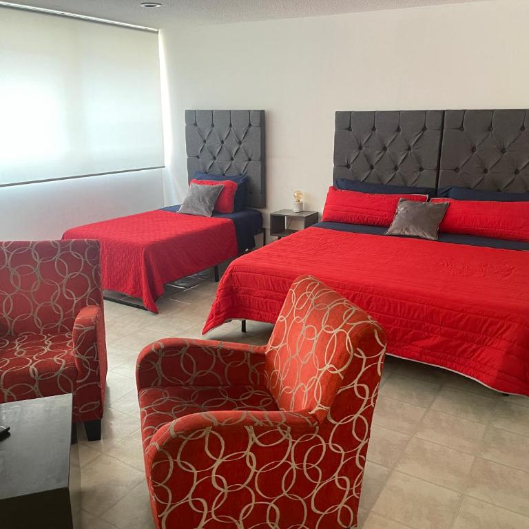 bnb2night Polanco-Rooms & Beds - Superior King Suite - 23