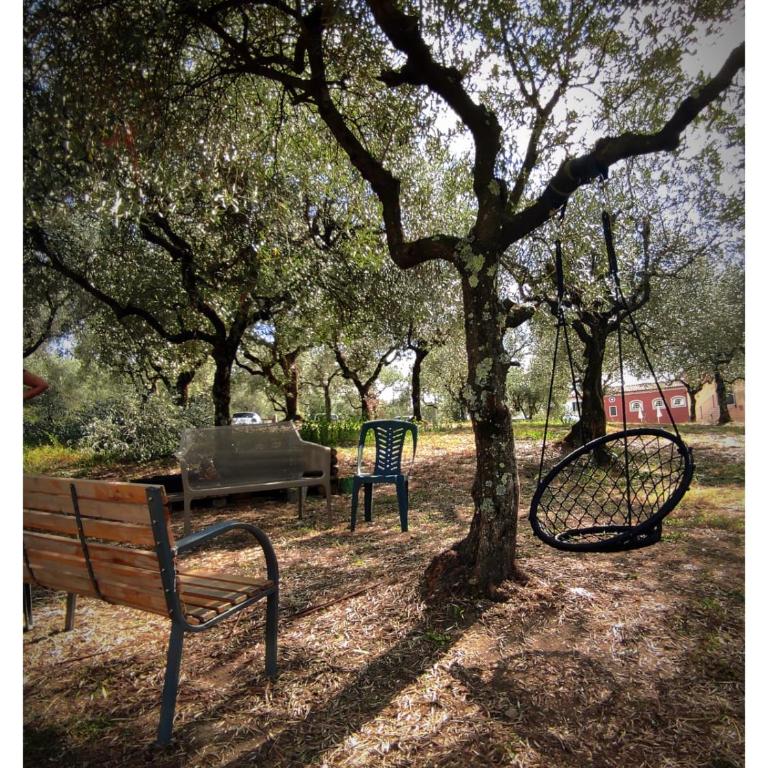 Agriturismo Villa Sardini - Appartamento con 3 Camere da Letto - 22