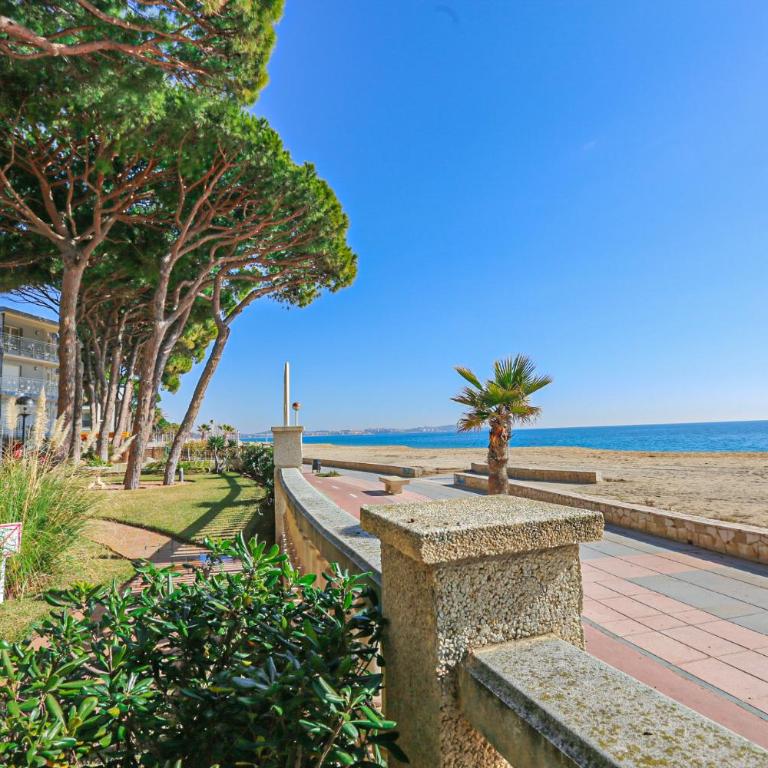 Versalles - ONLY FAMILIES - Two-Bedroom Apartment - 4