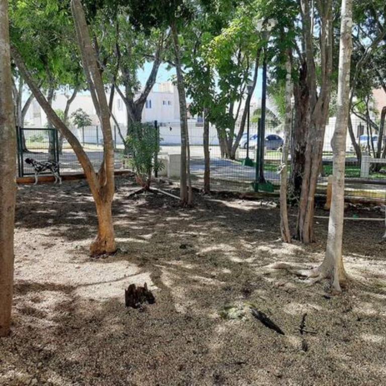 Casa Alux - Pet friendly - 3Bedroom - Three-Bedroom House - 22