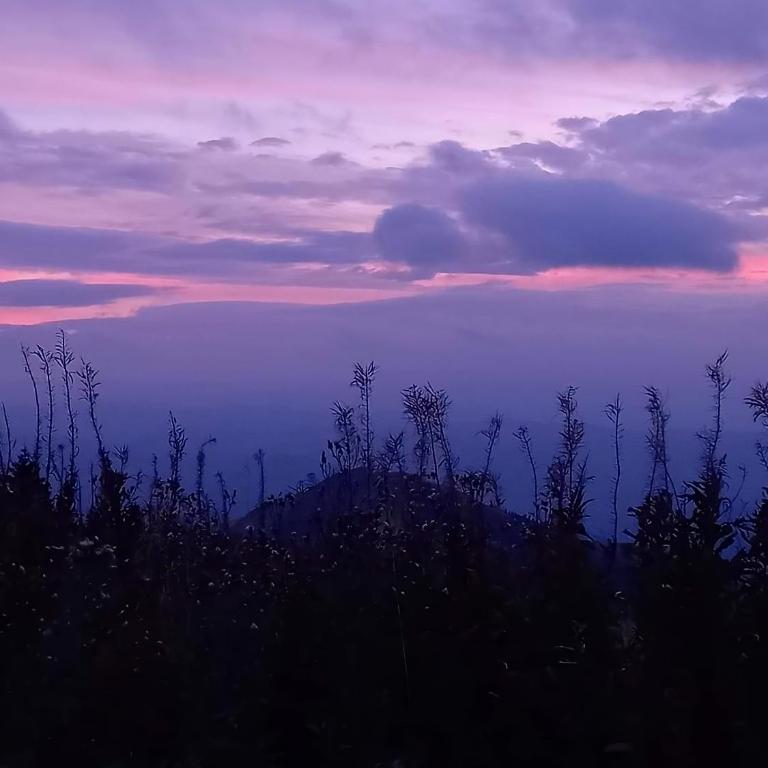 Kopaonik Heights N97 Spa and Wellnes - Apartman sa 1 Spavaćom Sobom - 32