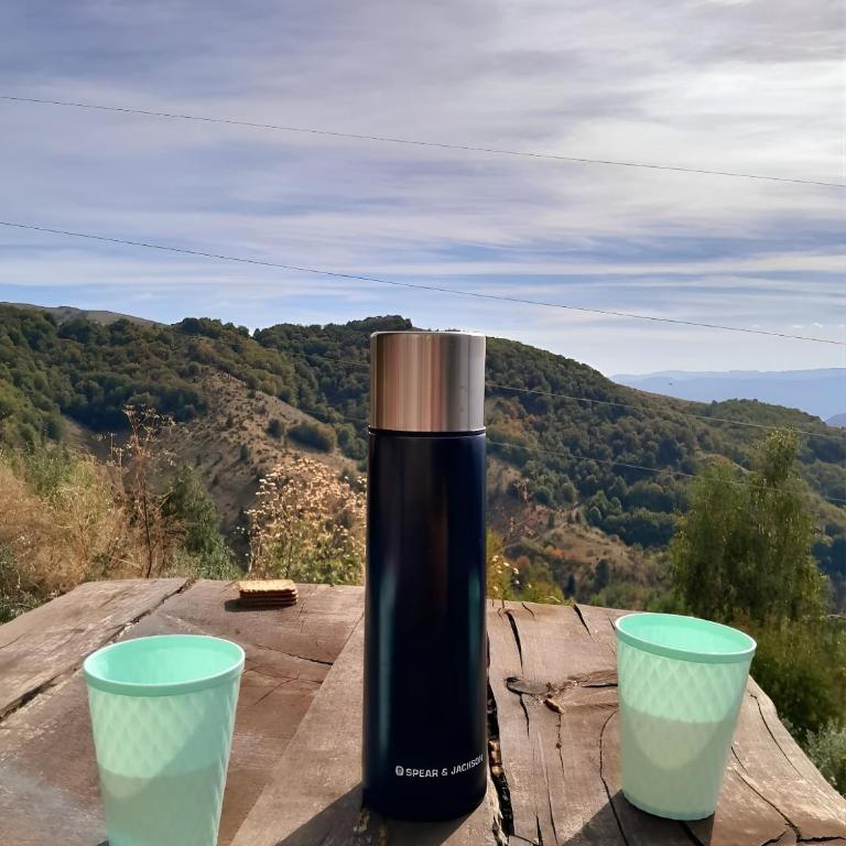 Kopaonik Heights N97 Spa and Wellnes - Apartman sa 1 Spavaćom Sobom - 33